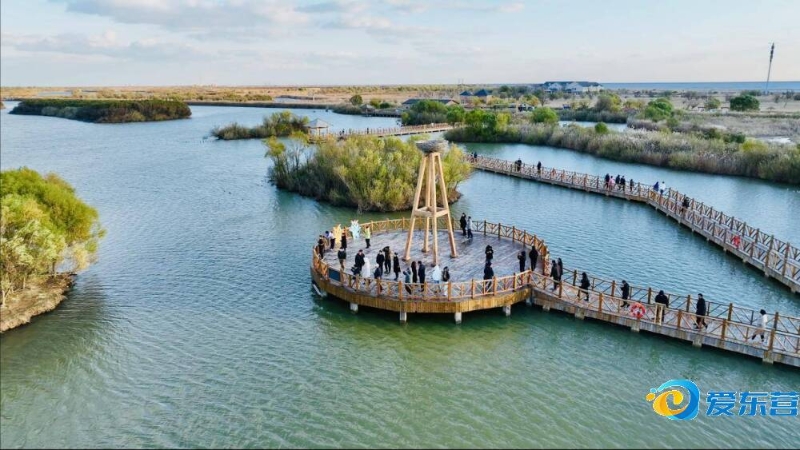 际乒坛最受 际乒坛最受