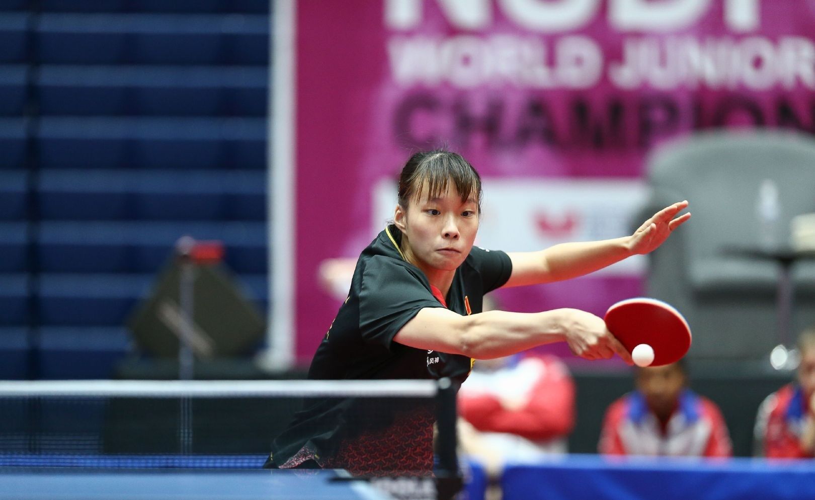 阵容挑战 阵容挑战