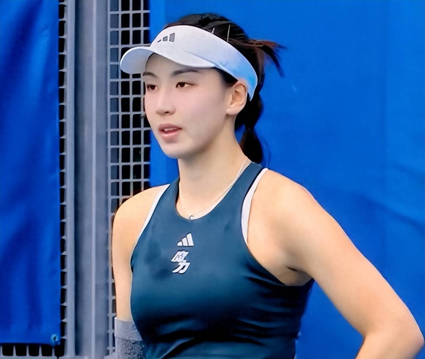 分化也是世 分化也是世