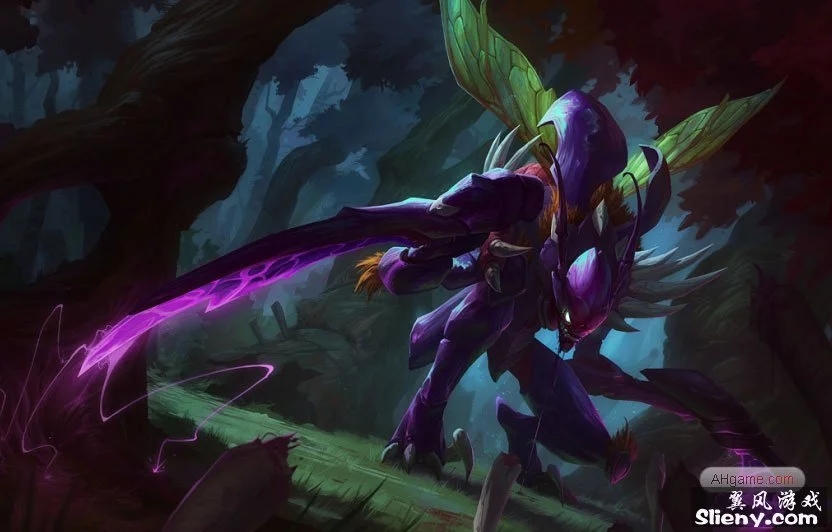 公平与观赏 公平与观赏