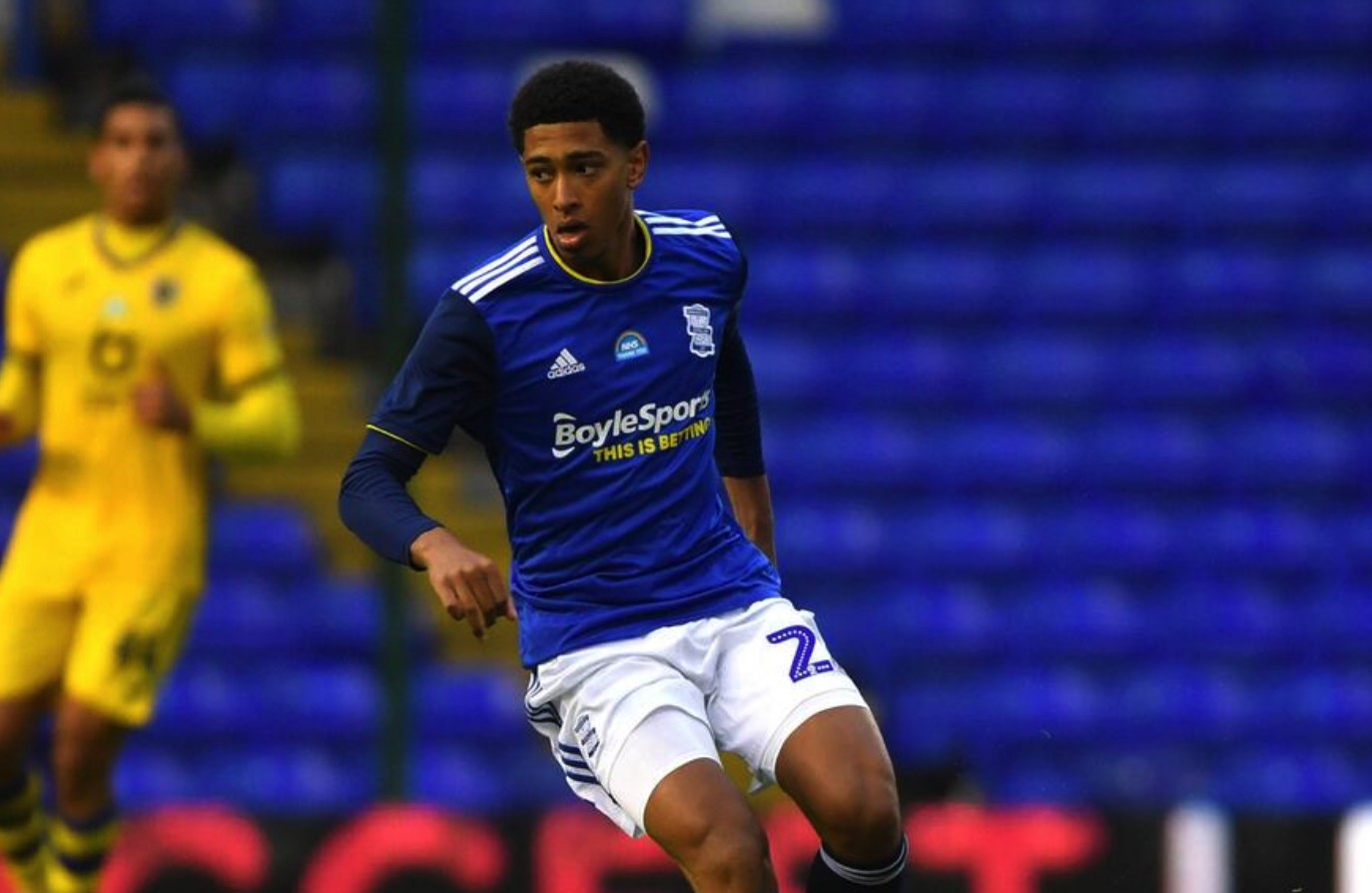 能为厄德高 能为厄德高